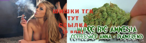 МДМА Ельня