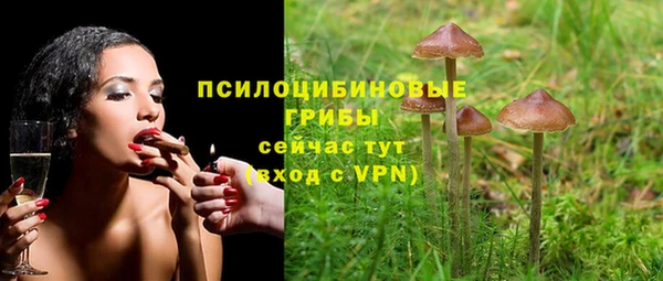 а пвп мука Елизово