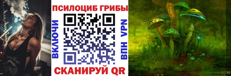 Галлюциногенные грибы GOLDEN TEACHER  mega ССЫЛКА  Курган 
